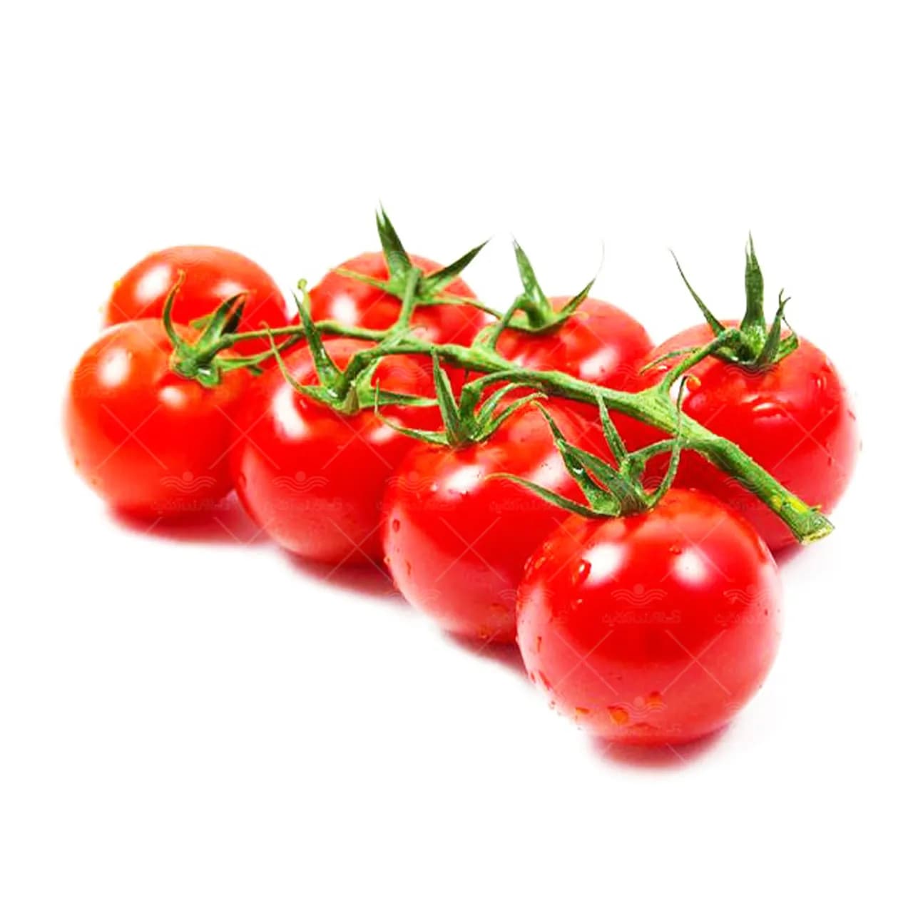 گوجه گیلاسی
